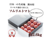 【極み】受賞歴３回！ソムリエトマト