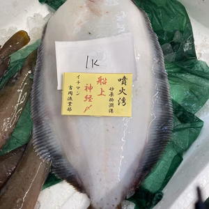 本日2点‼️神経〆ババカレイ　