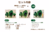 旬彩サラダセット〈化学肥料・農薬不使用〉