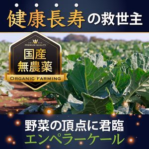 【JAS認定】極限まで完熟させた"幻のエンペラーケール"健康長寿の救世主