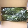 ほうれん草10袋入り　3kg入り