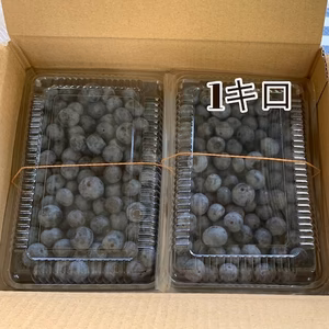 農薬不使用◆ブルーベリー1キロ