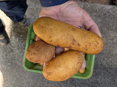 みんなの投稿の画像