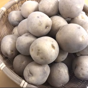 幻のじゃがいも！一度食べてみたい【インカのめざめ】2kg