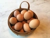 【月１回冷蔵】生食に最適！ 放し飼いの鶏が産んだ卵３０個入り