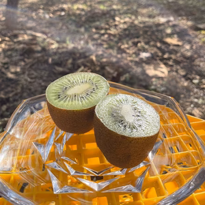 【バレンタイン特価】ミツバチからの贈り物ハニーキウイ ほうろく〈松〉