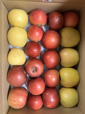 みんなの投稿の画像