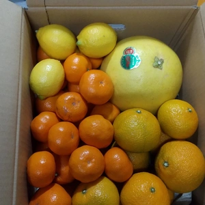 【福袋2023】なんと！世界最大のかんきつ「晩白柚」も入っている柑橘セット