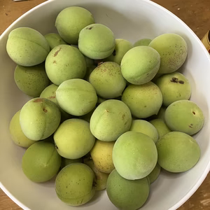 もぎたて青梅　今年は沢山採れました！