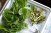利賀村の山菜セット5種+葉ワサビ1kg