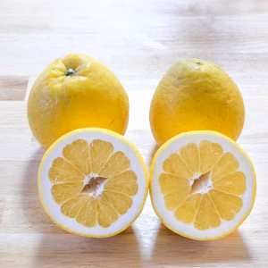 【7周年福袋】20％増量中ジューシー果実＊河内晩柑！家庭用3kg→3.6kg