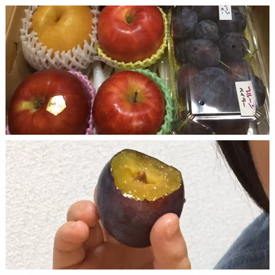 みんなの投稿の画像