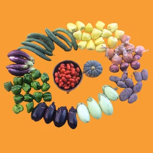 農薬不使用の旬な野菜セット✨美味しいをお届け【数量限定】