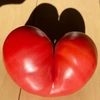 【フジテレビ LiveNews αで紹介】規格外トマトから生まれたソース3種類