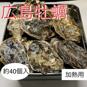 広島かき　殻付き牡蠣　半缶　カンカン焼き