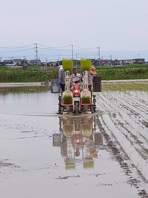 みんなの投稿の画像