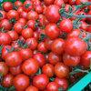 加熱用 ミニトマト4キロ