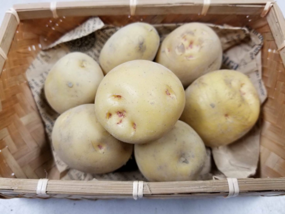 キタアカリ じゃがいも 農家漁師から産地直送の通販 ポケットマルシェ