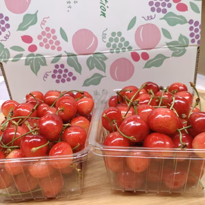 【自宅用】小さいサイズのさくらんぼ　甘酸っぱい小粒ちゃん