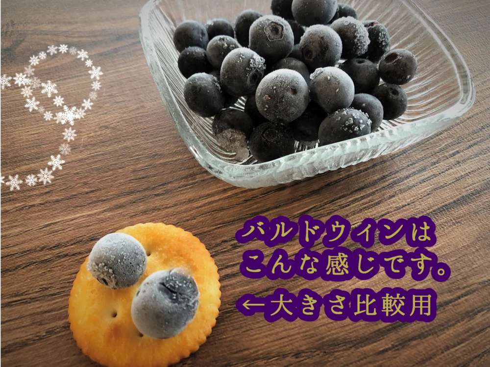 完熟冷凍ブルーベリー【小粒〜大粒】５㌔　フルーツ