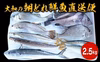 大和海商の朝どれ鮮魚直送便2.5kg【大和海商】