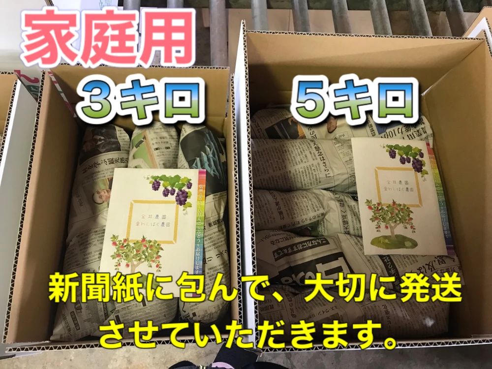 サンふじ 家庭用 15キロ 長野県産 減農薬 化学肥料不使用サンふじ家庭