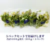 美野菜　低カリウムレタス（約80g×5パック）