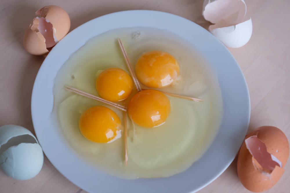 バックナンバー]タマゴとパンケーキとオレンジと春休み🥚今週の