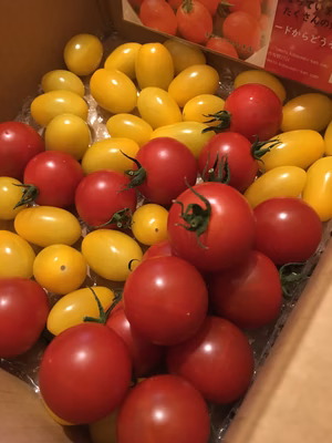 みんなの投稿の画像