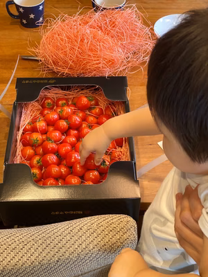 みんなの投稿の画像