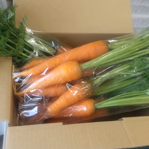 葉つき人参1.4kg位、農薬不使用