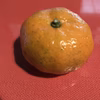 1/7収穫 小みかん 自然農自然栽培農薬消毒化学肥料不使用 紀州みかん
