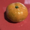 橙 小みかん セット　自然栽培 農薬消毒化学肥料不使用 紀州みかん 桜島みかん