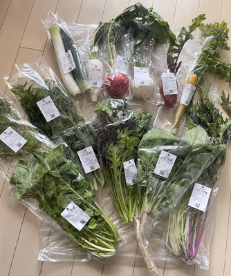 みんなの投稿の画像