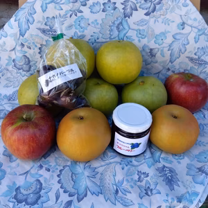 秋の果物4種よくばりセット(秋映・南水・二十世紀梨・ナガノパープル粒)＋ジャム