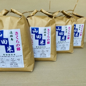 2000円引き！淡路島産　ヒノヒカリ（玄米5キロ✖️4袋）