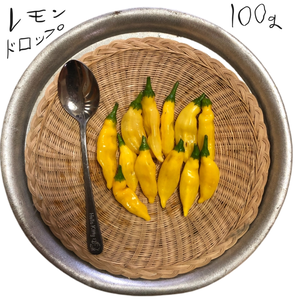 ペルーの黄色唐辛子【レモンドロップ】