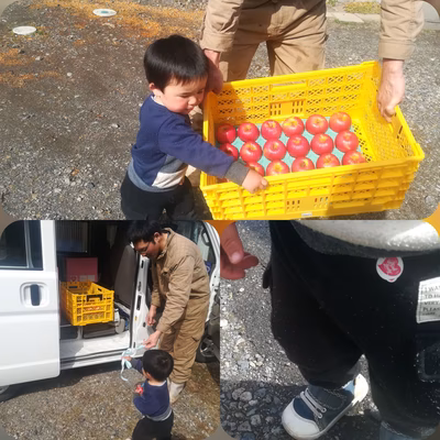 みんなの投稿の画像