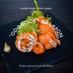【驚ロック (オドロック)】イワナ×ニジマスのハイブリッドサーモン お刺身用