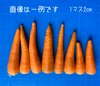 お試し 砂地栽培 和歌山県産 新鮮なにんじん 小さい人参 コンパクト満杯