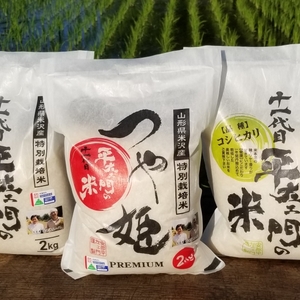 令和2年産　マルヘイ農園のお得な３点セット(2kg×3種類)