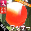 ワッサー 3kg 贈答用