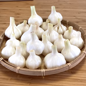 生ニンニク 1kg 採れたて新鮮 期間限定 送料500円