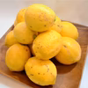 【奇跡のレモン】皮丸ごと使える国産 宝韶寿レモン／2kg ※訳あり含む