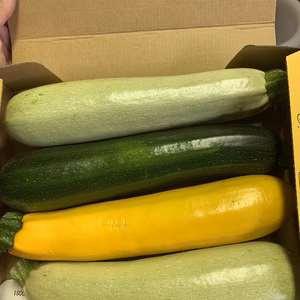 ①最安値！東京産！新鮮3色ズッキーニセット^ ^