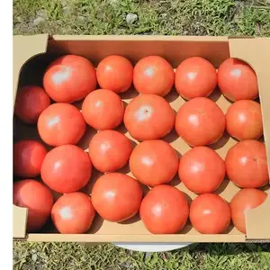 有機ＪＡＳ認証トマト！　大きさいろいろ不揃いたっぷり　トマト4㎏　　