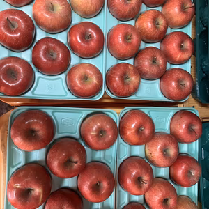 最後です！大玉3キロ7-9玉入農薬半減栽培樹上完熟葉取らずサンふじ