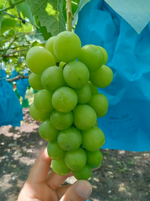 For Farm