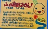 完熟！山の有田みかん♪ちっちゃな姫たち　3Sサイズ　訳アリ　箱込み5kg