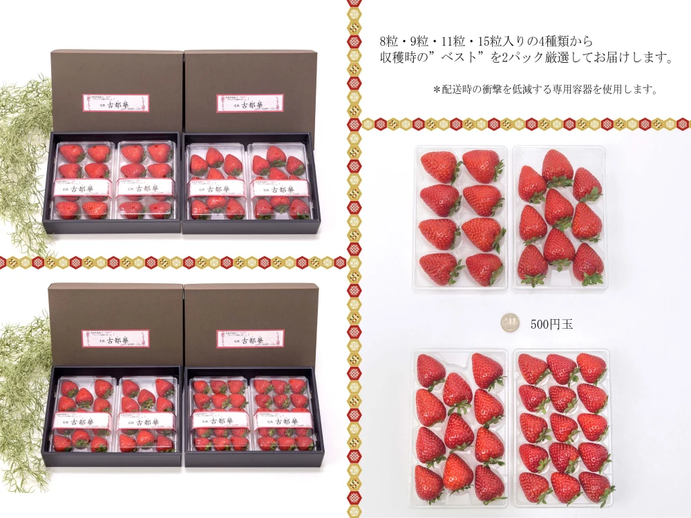 贈答用 ”完熟いちご 古都華” 8～15粒（270～320ｇ）×2パック